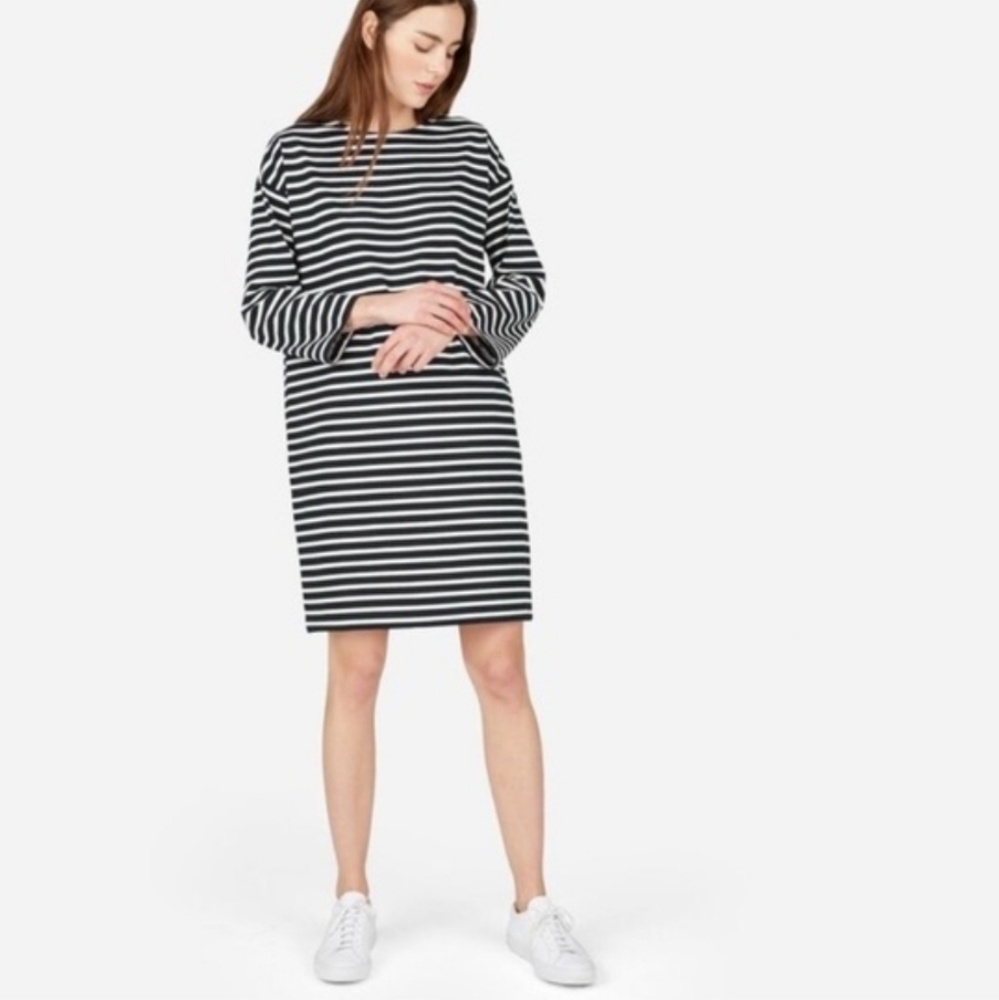 EVERLANE Blue & White Stripe Cotton Mini Dress
